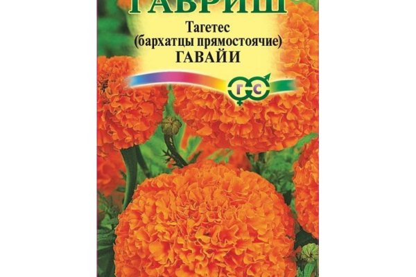 Площадки в даркнете