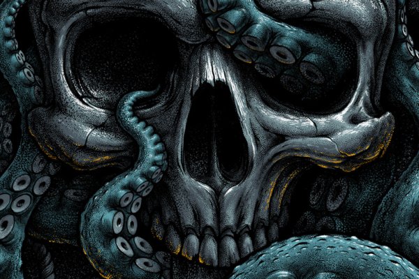 Kraken 24 at