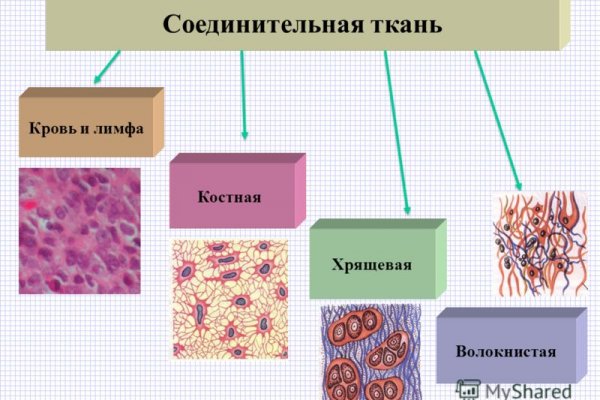 Какой нужен тор чтоб зайти в кракен