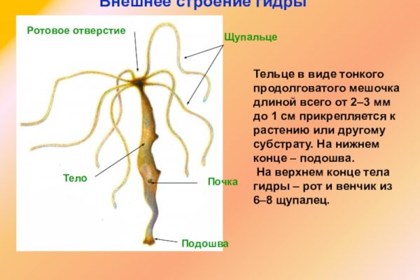 Сайт наркотиков купить